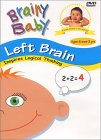 brain development, early childhood development