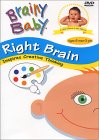 brain development, early childhood development